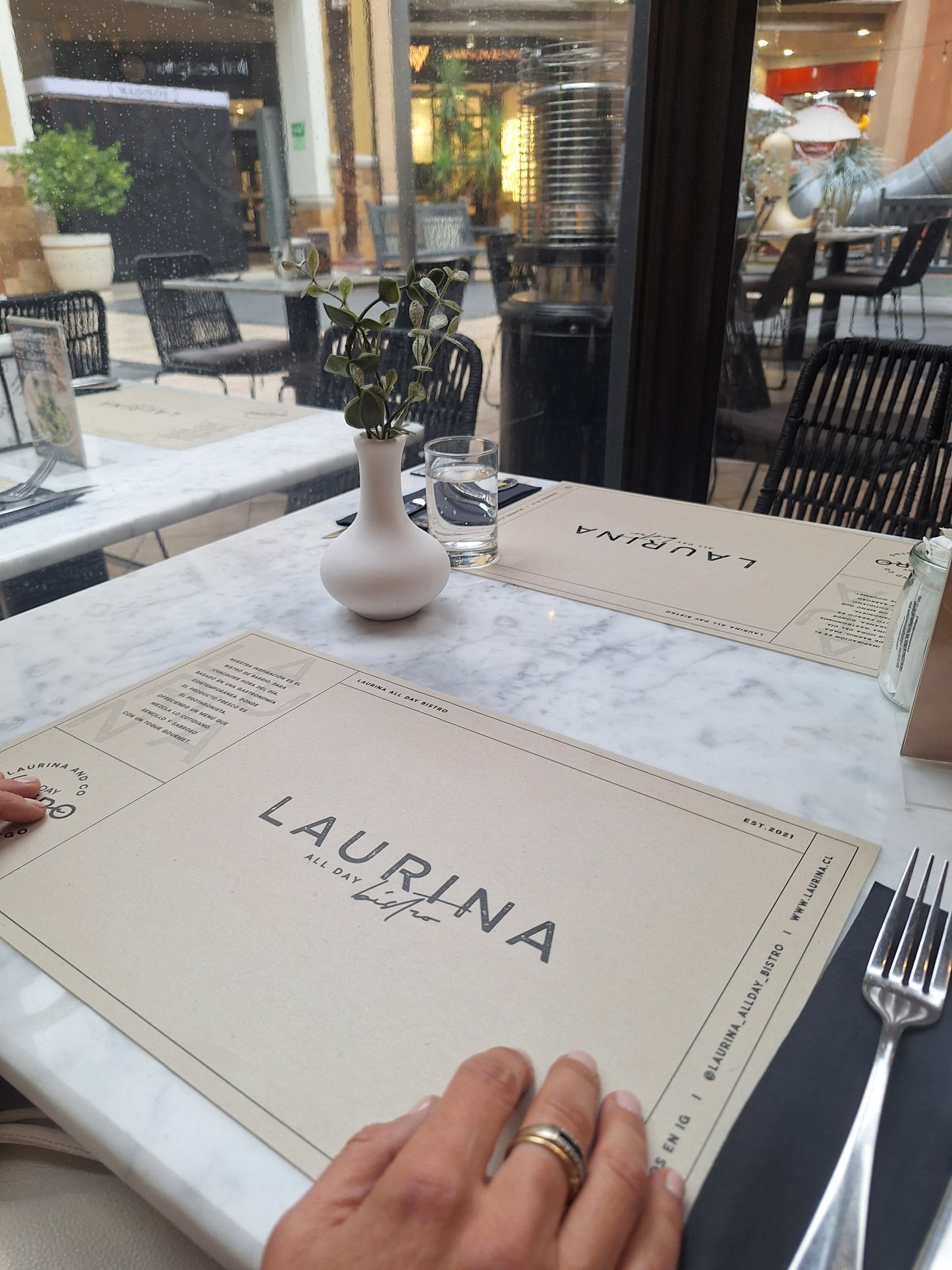 Individuales Laurina